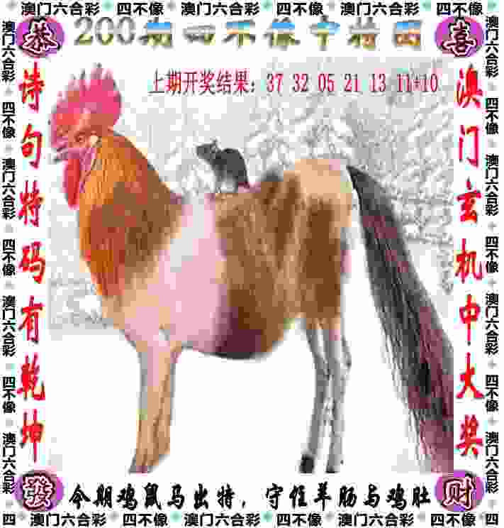 >600图库大全免费资料图